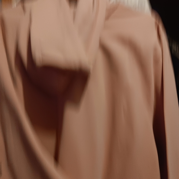 ED Hardy NWT Death Before Dishonor. Super cute pink hoodie. M but fit XL/L - Picture 6 of 7